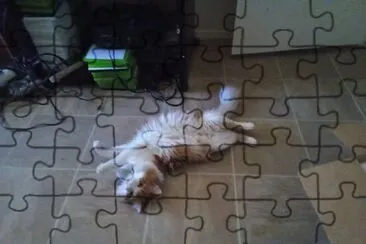  jigsaw puzzle