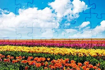 Toy jigsaw puzzle