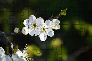 Toy jigsaw puzzle