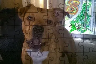  jigsaw puzzle