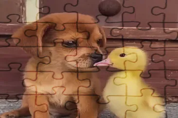 Dog and Duck 1 jigsaw puzzle