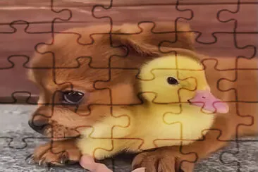 Dog and Duck 2 jigsaw puzzle