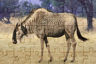 Wildabeast Cheetah jigsaw puzzle