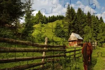 horse and fence