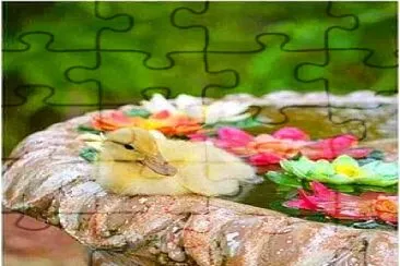 animales jigsaw puzzle