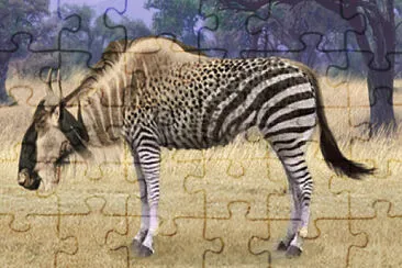 פאזל של Wildebeest Zebra