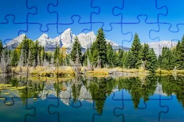 Toy jigsaw puzzle