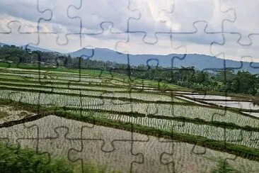 Indonésie jigsaw puzzle