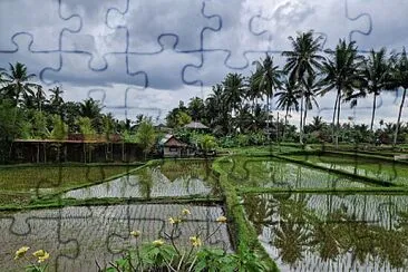 Ubud jigsaw puzzle