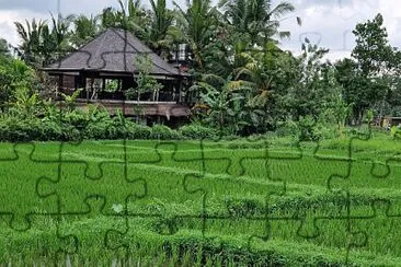 Ubud jigsaw puzzle