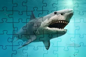 Arma y descubre el rompecabezas. jigsaw puzzle