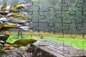 lluvia jigsaw puzzle