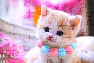 gato jigsaw puzzle