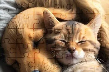 imagem jigsaw puzzle