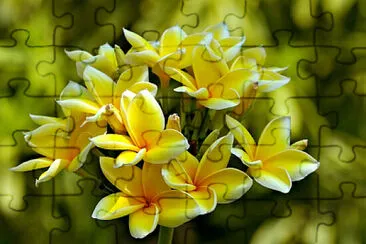 OK jigsaw puzzle