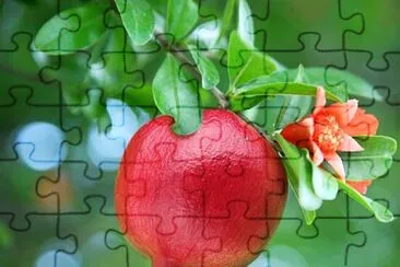 imagem jigsaw puzzle