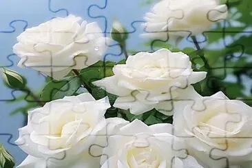 Rosas jigsaw puzzle