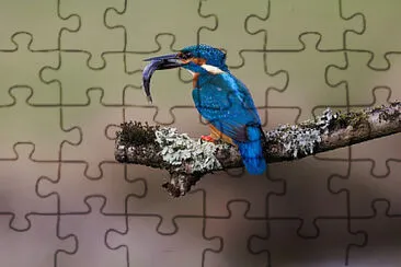 OK jigsaw puzzle