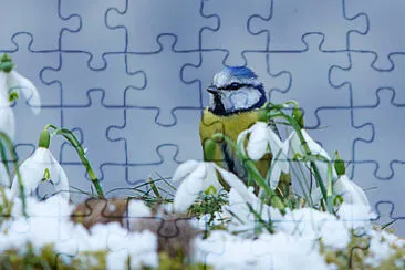 OK jigsaw puzzle