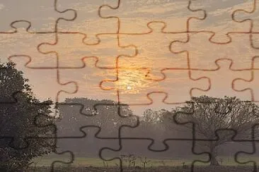 Reflejo jigsaw puzzle