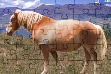 Rhino Horse jigsaw puzzle