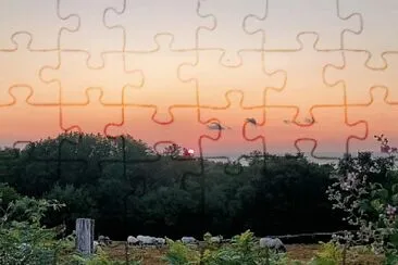 Coucher de soleil au desssus de la corniche d 'Urru jigsaw puzzle