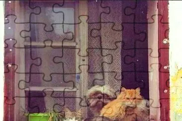 animales jigsaw puzzle