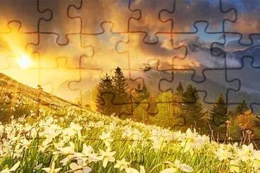 flores jigsaw puzzle