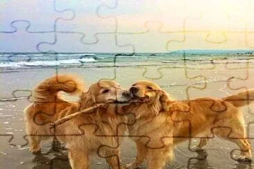 perro jigsaw puzzle