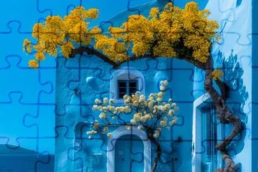 Casa azul jigsaw puzzle