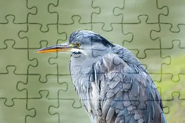 Toy jigsaw puzzle