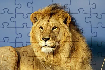 l jigsaw puzzle