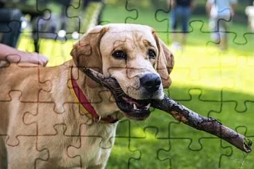 Perro 3 jigsaw puzzle