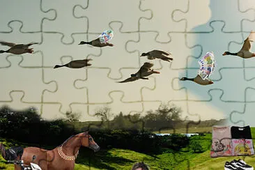 qasy jigsaw puzzle