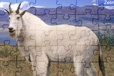 Mountain Goat Zebra tailed jigsaw puzzle