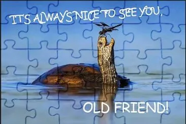 old friends jigsaw puzzle