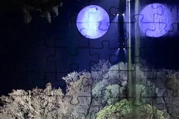 moooon jigsaw puzzle