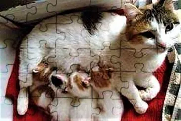 mom #369 jigsaw puzzle