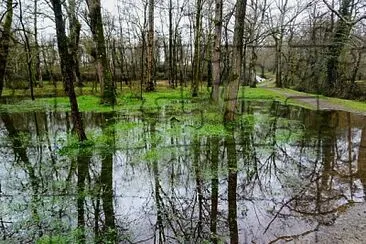 Le Lac d 'Halco Hagetmau