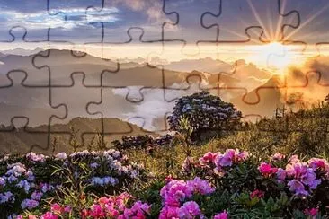 imagem jigsaw puzzle