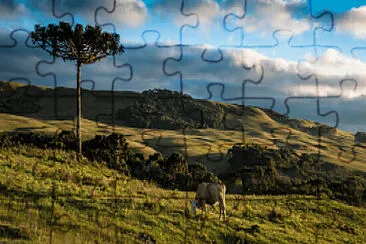  jigsaw puzzle