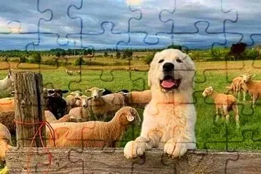 animales jigsaw puzzle