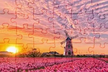 flores jigsaw puzzle