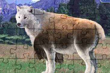 Bison Mountain Wolf jigsaw puzzle