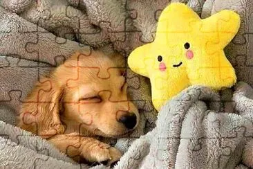 perro jigsaw puzzle