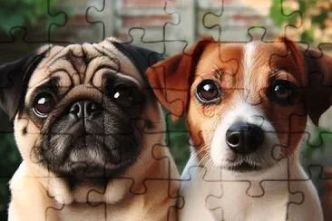 pug y jack russel jigsaw puzzle