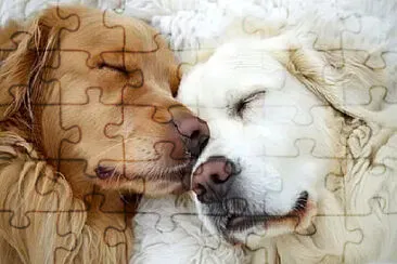 Toy jigsaw puzzle