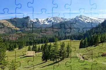 Toy jigsaw puzzle