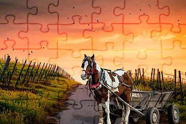 Toy jigsaw puzzle