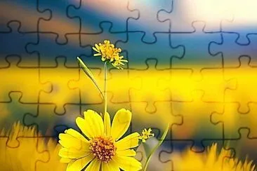 imagem jigsaw puzzle